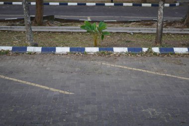 Paving stones on a quiet road with a dividing line for car parking clipart