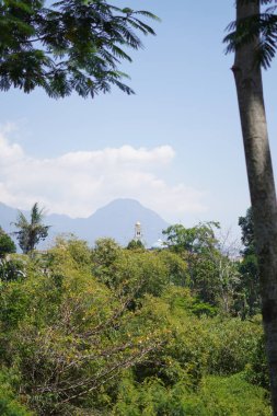 Gün boyunca ağaçlarla çevrili bir dağ.