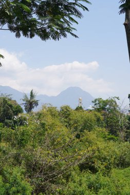 View of a mountain covered by trees during the day clipart