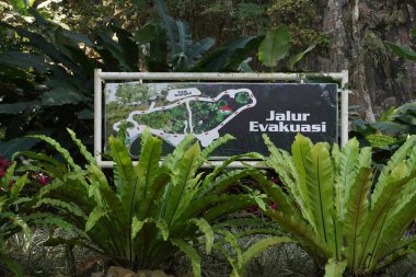 Tahliye güzergahı. Pujon Aşk Parkı, Batu, Malang. Yeşil bitkiler arasında.