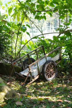 Gün boyunca ağaçların arasında boş bir çöp arabası.