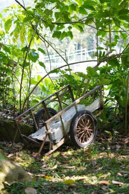 Gün boyunca ağaçların arasında boş bir çöp arabası.