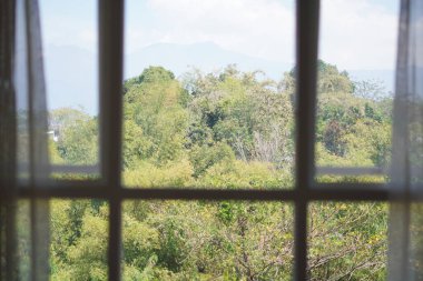 View of trees and clear sky seen from inside the window during the day clipart