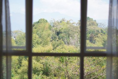 View of trees and clear sky seen from inside the window during the day clipart