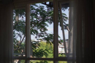Gün boyunca pencerenin içinden görünen ağaçların görüntüsü