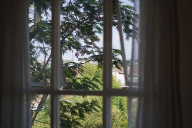 Gün boyunca pencerenin içinden görünen ağaçların görüntüsü