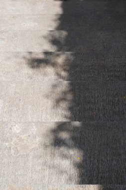 Gün boyunca çimento bir merdivende ağaç yapraklarının gölgeleri.