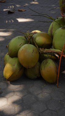 Kumsalda taze hindistan cevizleri satılır. Ziyaretçilere servis edilir.