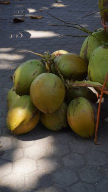 Kumsalda taze hindistan cevizleri satılır. Ziyaretçilere servis edilir.