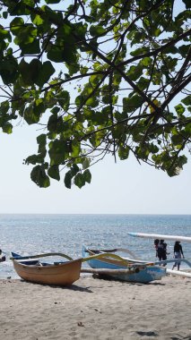  Gün boyunca denize bakan ve üzerinde yapraklar olan iki geleneksel tekne Situbondo 'nun Pasir Putih plajı bölgesinde sahile yerleştirildi.