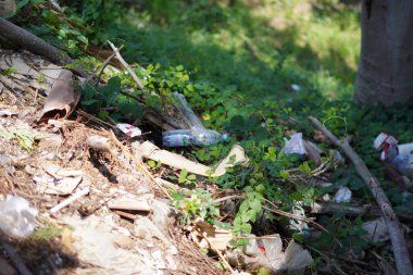 Plastik atık dikkatsizce çimenli ağaçların yanındaki binaların yanına atılmış.