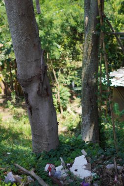 Çöpler dikkatsizce boş bir arsada büyük bir ağacın yanına atılmış.