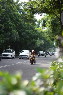Araçlar (arabalar ve motorsikletler) yol kenarındaki ağaçlarla otobandan geçiyor