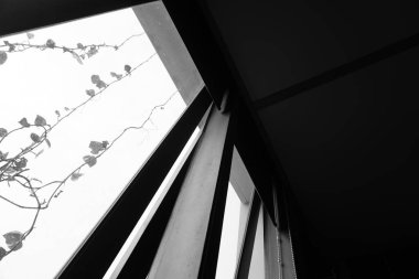 Siyah ve beyaz kipte sarkan bitkilerin olduğu kutu penceresi