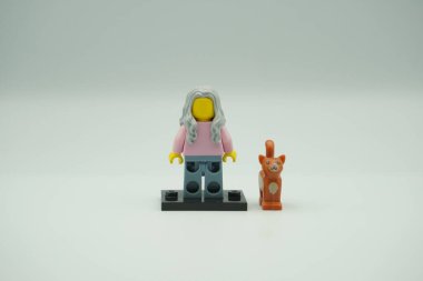 Lego filminden Bayan Scratchen Post Lady Lego 'nun minyatür figürü.