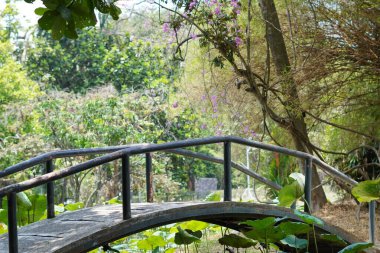 İki yeri birbirine bağlayan bir köprü. Yapay bir göl ile turistik bir bölgede yüzen bitkiler arasında..