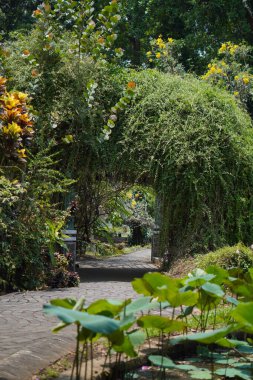 Gün boyunca asma ve ağaçlarla dolu bir giriş salonu.