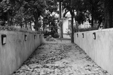 Yolun sonunda kaldırımlı kaldırımlar, düşen yapraklar ve büyük ağaçlar olan sessiz bir yol.