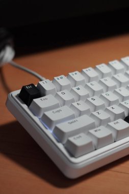 Siyah ve beyaz kablolu mekanik klavye (monokrom temalı) ve siyah kaçış anahtarı