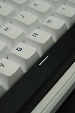 Tek renkli (siyah ve beyaz) temalı mekanik bir klavyede siyah boşluk çubuğu anahtarı