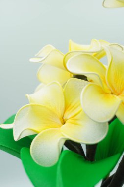 Yapay (sahte) sarı frangipani çiçekleri beyaz arka planlı oda dekorasyonu için kumaş stokundan yapılır