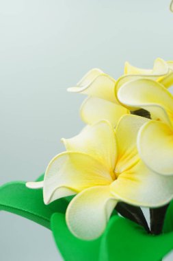 Yapay (sahte) sarı frangipani çiçekleri beyaz arka planlı oda dekorasyonu için kumaş stokundan yapılır