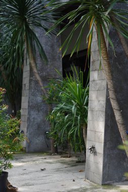 Binanın taş duvarları bitkilerle ve küçük, serin palmiyelerle süslenir.