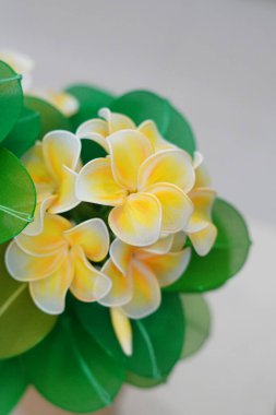 Suni frangipani çiçekleri, oda dekorasyonu için kullanılabilecek kumaştan yapılmıştır.