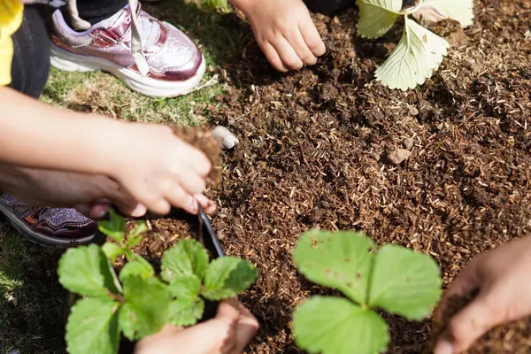 Küçük bir çocuğun elleri gün boyunca toprak alıp, polipoşetlere bitki ekiyor.