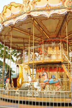 Atlı karınca öğleden sonra çok az ziyaretçiyle koşuyordu.