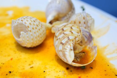 Beyaz arka planda izole edilmiş istiridyeler. Kabuklu istiridye çok kaliteli.