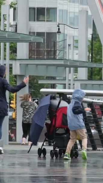 Downtown Canada Place Rainy Spring Grandparents Men Women People Umbrellas — Vídeo de Stock