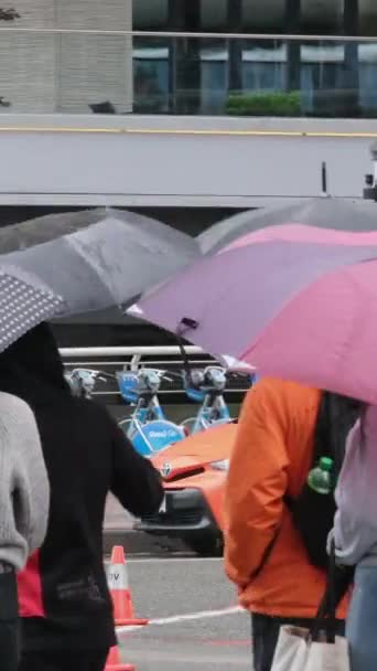 Kanada Nın Göbeğinde Yağmurlu Bir Bahar Var Büyük Anne Büyük — Stok video