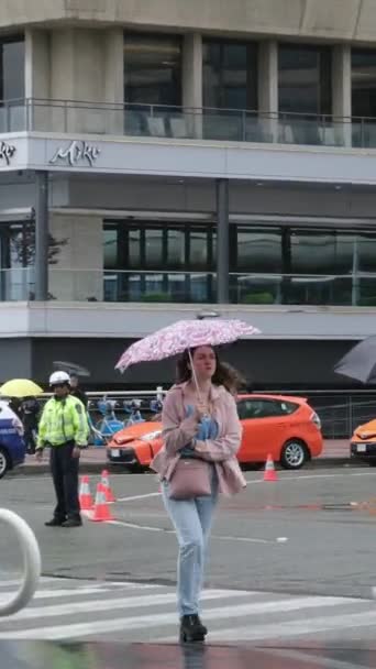 Downtown Canada Helyezze Esős Tavaszi Nagyszülők Férfiak Nők Emberek Esernyő — Stock videók