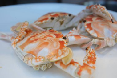 Buharda pişmiş yengeç. Beyaz arka planda baharatlı sosla servis edilen haşlanmış yengeç. Tayland yemeği tarzı, Top View. Kaynatılmış kırmızı yengeç, avokado, defne, şarap bardakları.