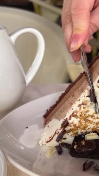 Τρεις Σοκολάτες Τούρτα Γλυκιά Κρέμα Σουφλέ Και Πασπαλισμένο Ροκανίδια Σοκολάτας — Αρχείο Βίντεο