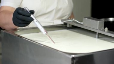 Bir peynir üreticisinde sütün sıcaklığını ölçen termometre, tanınmayan bir kadın termometreyi ılık süte batırır. Yüksek kalite 4k görüntü