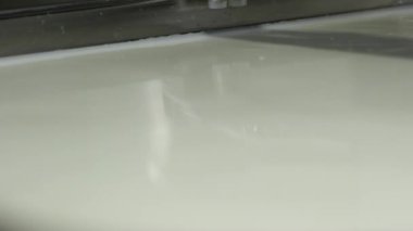 Ev yapımı yoğurt yapıyorum. Bakteri yoğurt yapmak için kullanılır. Kadın süte yoğurt kültüründen bir başlangıç ekliyor. Başlangıç kültürleri ve süt mayalanması