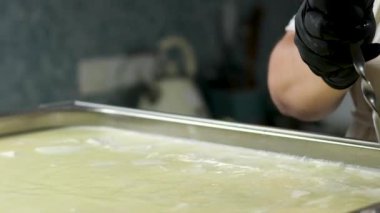 Caciocavallo kabak peyniriyle ev yapımı peynir fabrikasında adım adım kachakovala peyniri nasıl hazırlanır? Siyah lateks eldivenli kadın elleri İtalya 'da lezzetli bir ürün hazırlar. 4k