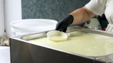 Peynir fabrikası yoğurt, kabak peyniri, mozzarella ve diğer peynir çeşitlerini hazırlıyor. Yüksek kalite 4k görüntü