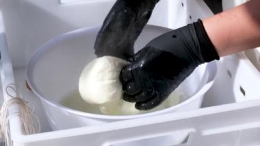 Caciocavallo kabak peyniriyle ev yapımı peynir fabrikasında adım adım kachakovala peyniri nasıl hazırlanır? Siyah lateks eldivenli kadın elleri İtalya 'da lezzetli bir ürün hazırlar. 4k