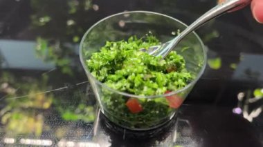 Sebzeli salata. Organik vejetaryen salatası. Diyet Sağlıklı Yemek. Diyette çiğ vejetaryen yemeği. Vejetaryen Kilo Veren Salata Dengeli Yiyecekler. Diyet yapan süper yiyecekler organik gıda salatası. Marul Yaprakları 