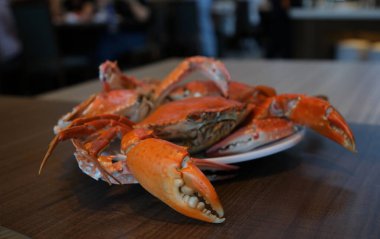 Haşlanmış yengeç, Japon yemeği, Japon özel yengeci, kar yengeci, dişi dev kar yengeci. Yüksek kalite fotoğraf