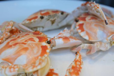 Haşlanmış yengeç, Japon yemeği, özel yengeç, kar yengeci, dişi dev kar yengeci. Yüksek kalite fotoğraf