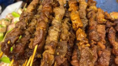 Izgara domuz kebabı et kebabı marine edilmiş kuzu kebap şiş kebap açık hava pikniği. Şiş kebap ya da Şiş kebap Doğu Avrupa 'da popüler. Kapatın. Yüksek kalite 4k görüntü