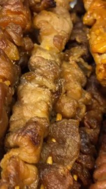 Izgara domuz kebabı et kebabı marine edilmiş kuzu kebap şiş kebap açık hava pikniği. Şiş kebap ya da Şiş kebap Doğu Avrupa 'da popüler. Kapatın. Yüksek kalite 4k görüntü