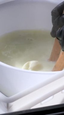 Kachakovala Caciocavallo peynir hazırlama süreci. Siyah lateks eldivenli kadın elleri peynir fabrikasındaki özel peynir fabrikasından peynir parçaları çıkarıyor. Yüksek kalite 4k