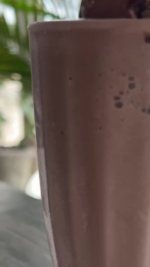 Çikolatalı dondurmalı kahve ve çikolatalı dondurma. Yüksek kalite 4k görüntü