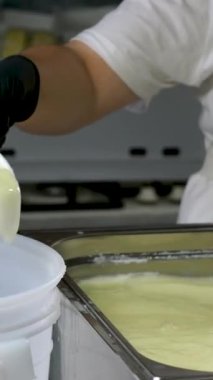 Peynir fabrikası yoğurt, kabak peyniri, mozzarella ve diğer peynir çeşitlerini hazırlıyor. Yüksek kalite 4k görüntü