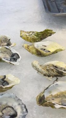 Güzel dekore edilmiş yemek masası istiridye, midye ve deniz ürünleriyle. Kadın elleri buzda istiridye serer, açık büfede istiridye haşlar.